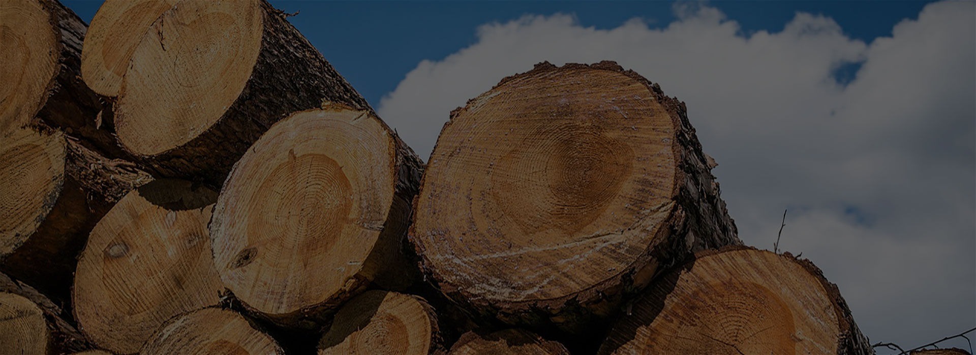 Professional Woodworking Machinery for Efficient Production